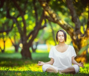 世界杯小组赛-瑞典队半决赛迎阵容深度大考